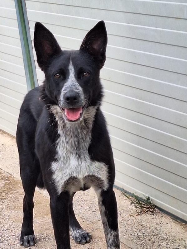 Valzer vi attende per ballare tutta la vita con lui Foto 5